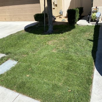 Favor Tree Care - Front Lawn Repair - Tree Services Near Me - Santa Ana, California Favor Tree Care - Front Lawn Repair - Tree Services Near Me - Santa Ana, California