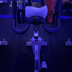 Coast Cycle