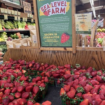 Wild Roots Market - fresh strawberries - Organic Stores Near Me - Felton, California Wild Roots Market - fresh strawberries - Organic Stores Near Me - Felton, California