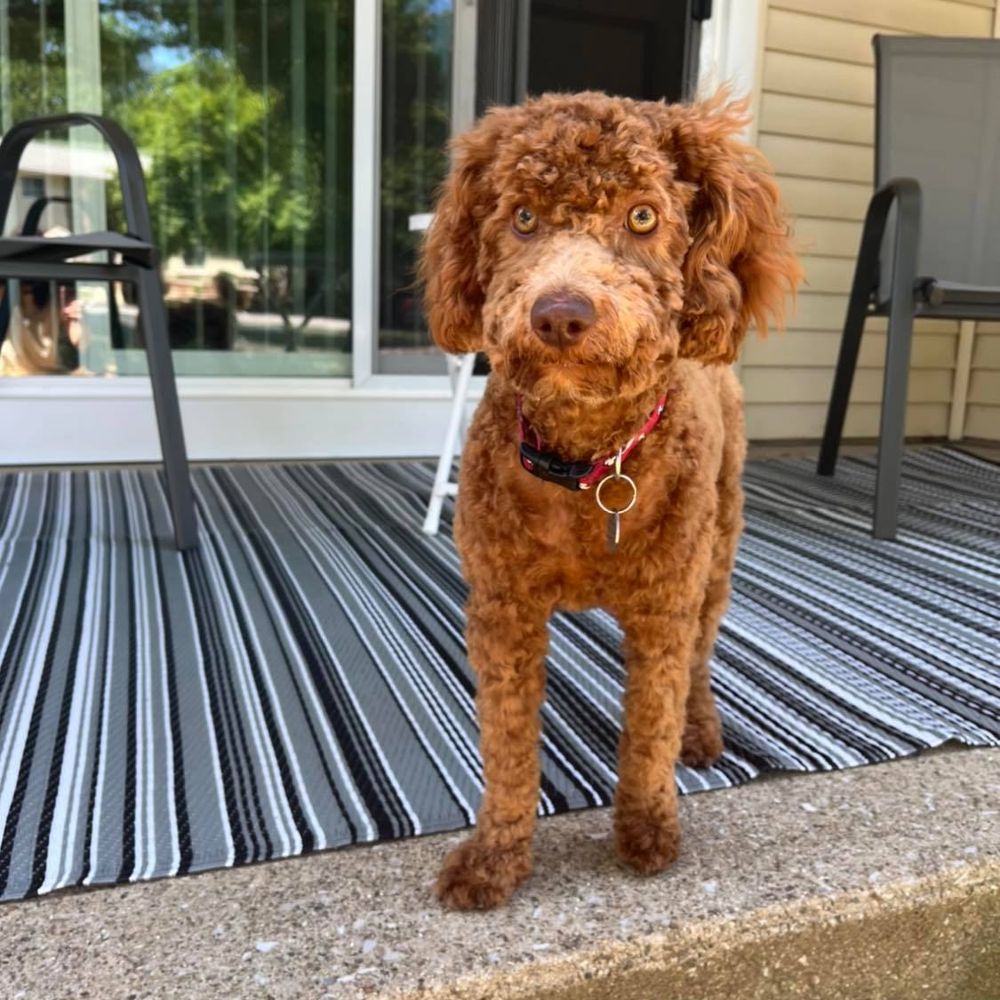 After groom