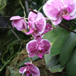 Botanischer Garten