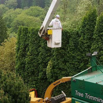 Titan Tree Care - Local (Rainier) bucket truck job. - Tree Services Near Me - Rainier, Oregon