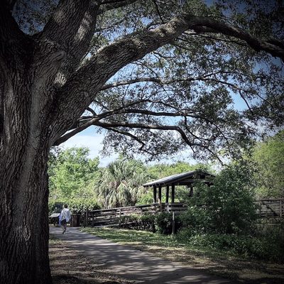Sawgrass Lake Park by null