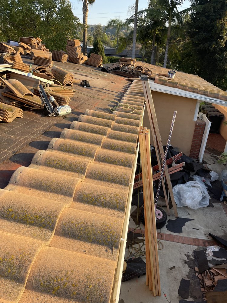 Slide of A J M D Mendoza