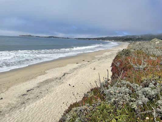 Dunes Beach - Half Moon Bay State Beach by null