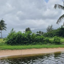 La Paseadora Bay Tours
