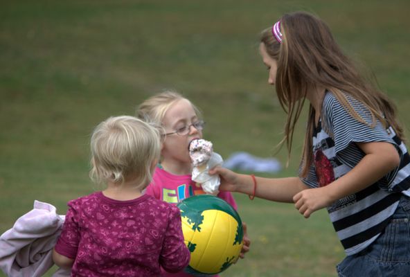 Dippity Do Dahs Homemade Ice Cream by null