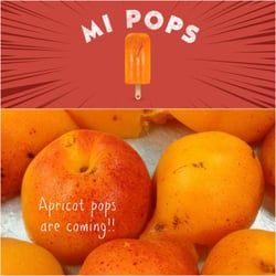 MI POPS - Apricots from Fruit Acres, Coloma, MI