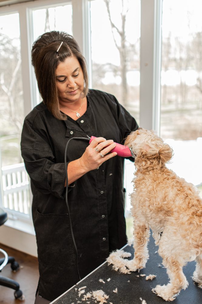 TIPTON RIDGE VETERINARY MEDICAL CENTER Updated September 2024 19