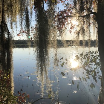 Lake Point Resort State Park - Spanish moss gives it that southern charm - Parks Near Me - Eufaula, Alabama