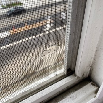 RayAccess - Ripped screen due to water pressure - Window Washing Near Me - Marina Del Rey, California RayAccess - Ripped screen due to water pressure - Window Washing Near Me - Marina Del Rey, California