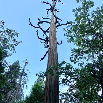 Ernie Maxwell Scenic Trail - Hiking Near Me