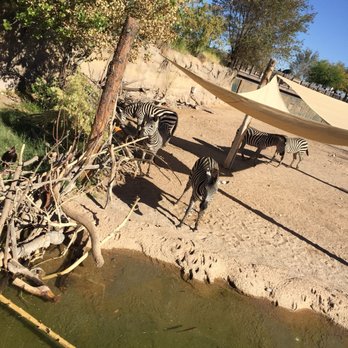 El Paso Zoo - Aquariums Near Me - El Paso, Texas El Paso Zoo - Aquariums Near Me - El Paso, Texas