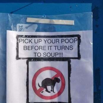 Connor's Bog - Dog Parks Near Me - Anchorage, Alaska