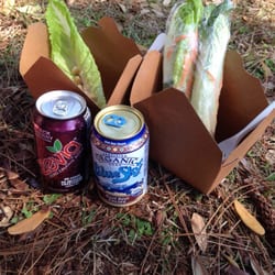Northeast Florida Veg Fest - Sitting under the tree with my daughter about to enjoy summer rolls and tofu salad from Budda's Belly!