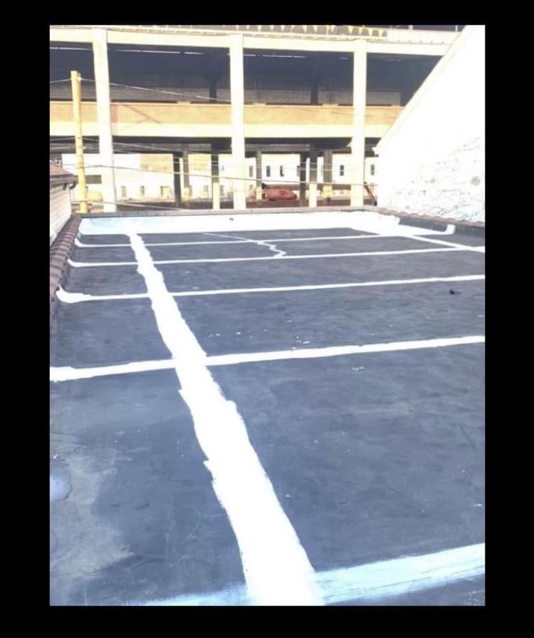 Slide of Sealtech Nation