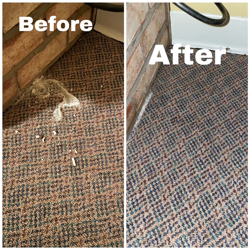 K&Z CHEMDRY Williamsport, Pennsylvania Carpet Cleaning Phone Number Yelp