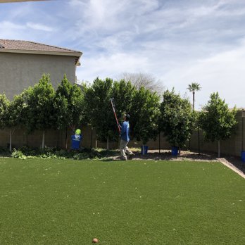 Arbor Care Tree Service - Two guys used hand tool and machine to trim trees for about 15-20mins. - Tree Services Near Me Arbor Care Tree Service - Two guys used hand tool and machine to trim trees for about 15-20mins. - Tree Services Near Me