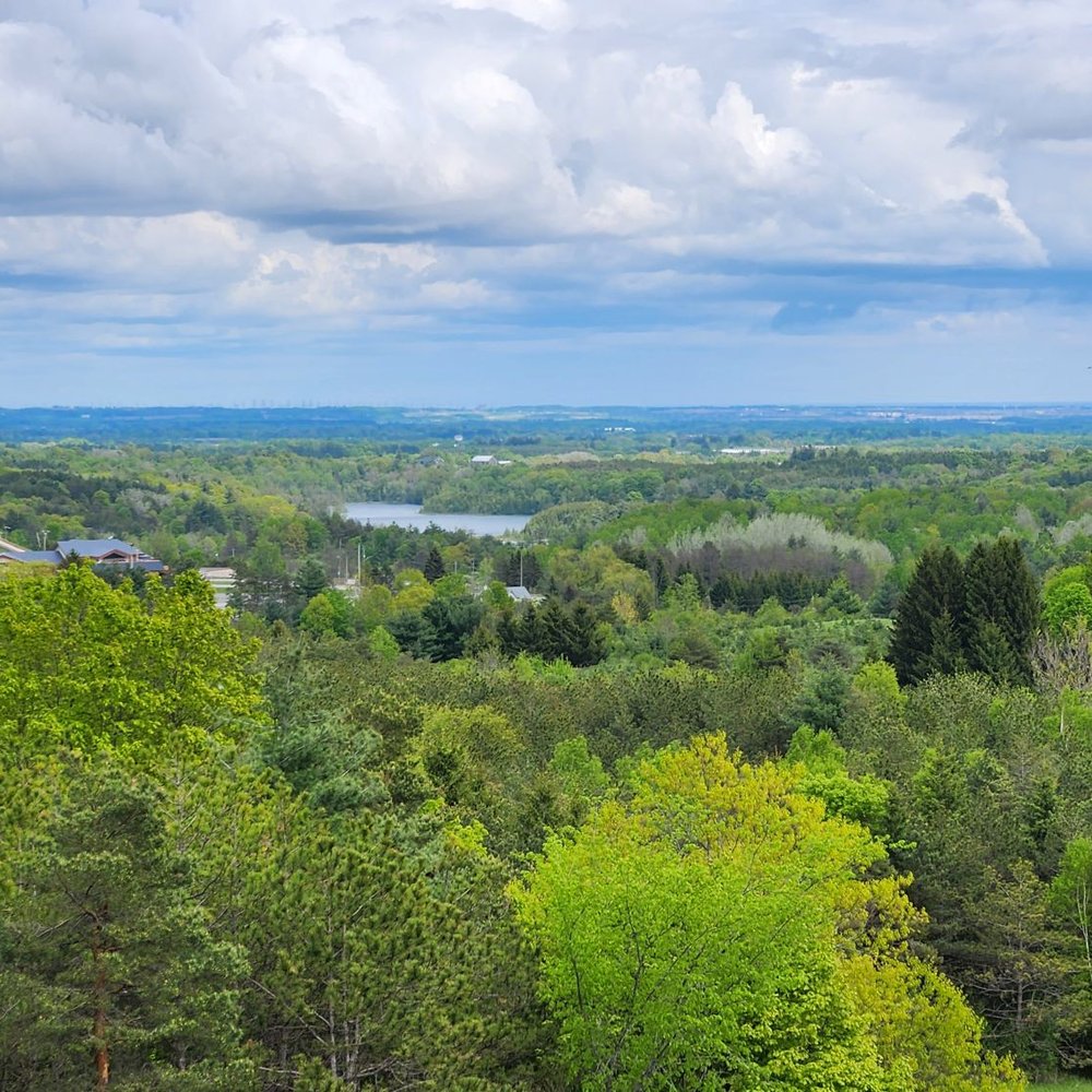 Nest - Even more breathtaking in person! - Wine Bars Near Me - Uxbridge, Ontario Nest - Even more breathtaking in person! - Wine Bars Near Me - Uxbridge, Ontario