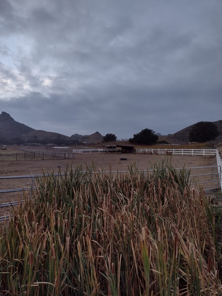 EquiAura Stables - equestrian in Las Vegas, NV