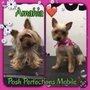 Posh Perfections Spa