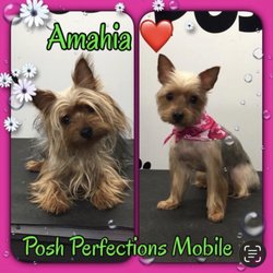 Posh Perfections Spa - New look for Amahia , now looking gorgeous