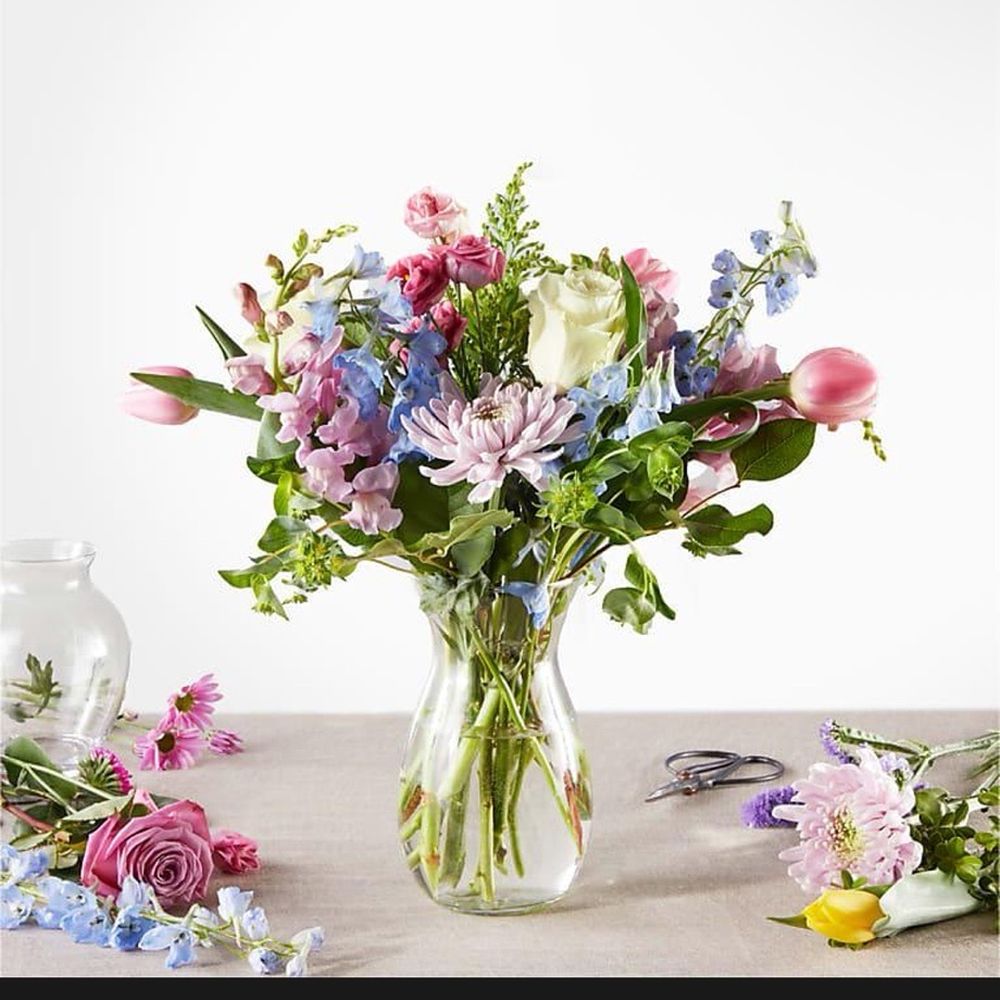 A Flower Junction - What i ordered (and yes i understand im not supposed to get exactly the picture) - Florists Near Me - Austin, Texas A Flower Junction - What i ordered (and yes i understand im not supposed to get exactly the picture) - Florists Near Me - Austin, Texas