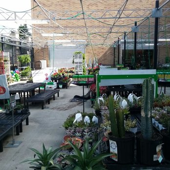 Walmart Garden Center - Nurseries & Gardening Near Me - Apex, North Carolina Walmart Garden Center - Nurseries & Gardening Near Me - Apex, North Carolina