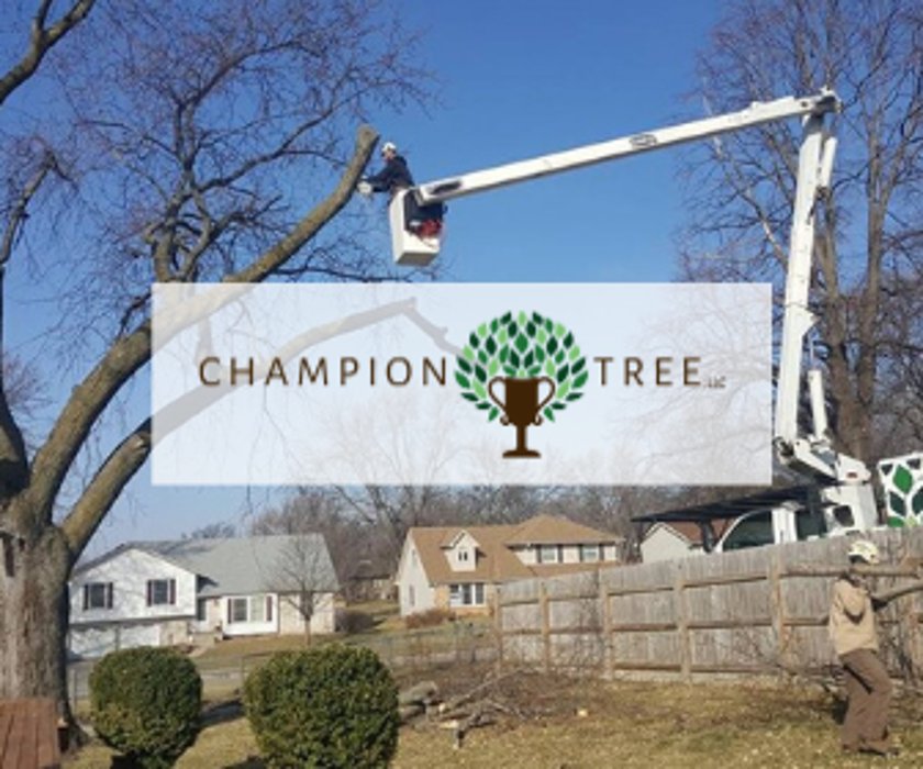 Champion Tree - tree service in Omaha, NE
