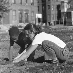 The Food Project