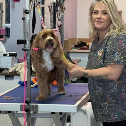 Lux Fur Pet Salon