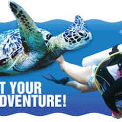 Scubadelphia Diveseekers