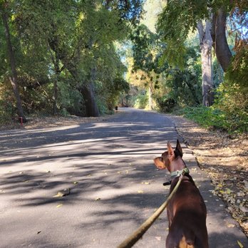 Caswell Memorial State Park - Parks Near Me - Ripon, California