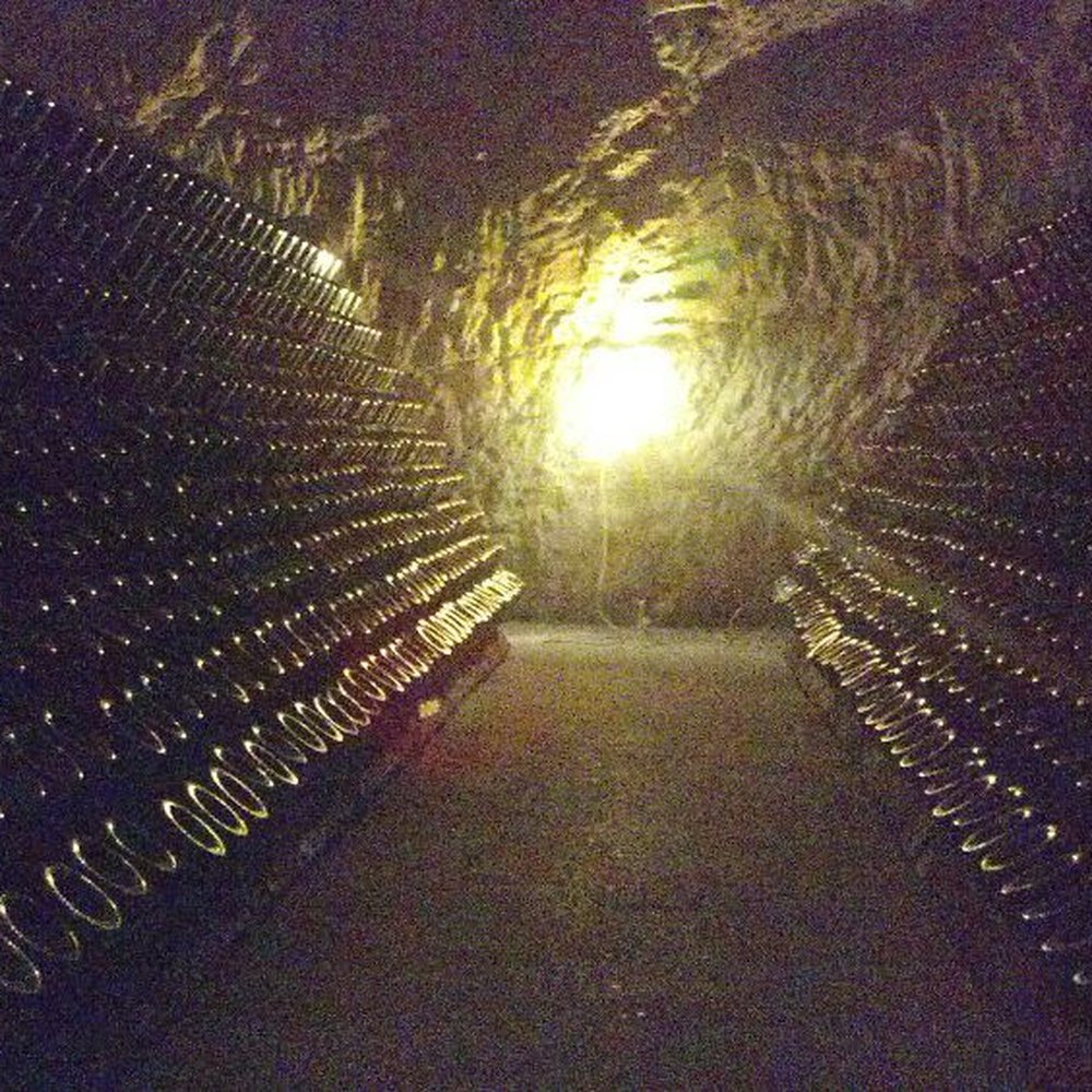 Champagne Taittinger - Wineries Near Me - Reims, 51