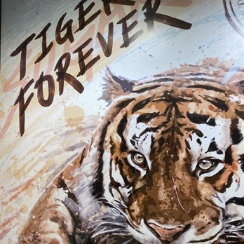 Tiger Sugar - Bubble Tea Near Me - Chicago, Illinois Tiger Sugar - Bubble Tea Near Me - Chicago, Illinois