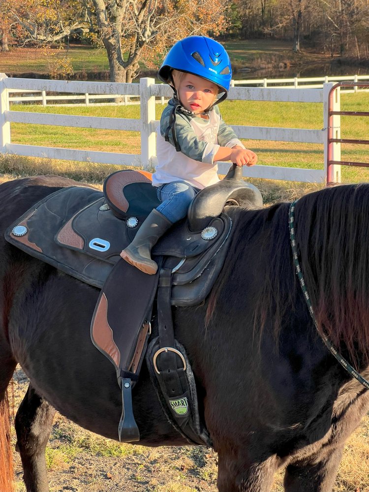 Abundant Blessings Farm - equestrian in Stem, NC
