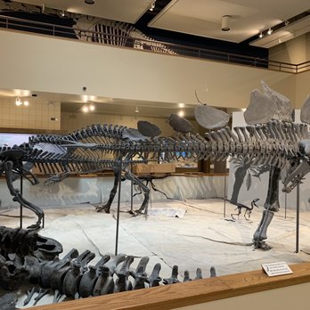 USU Eastern Prehistoric Museum - Museums Near Me - Price, Utah USU Eastern Prehistoric Museum - Museums Near Me - Price, Utah