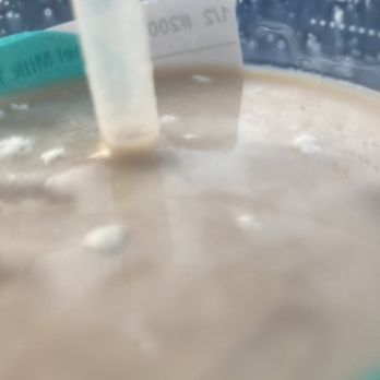 T4 Clayton - Things floating in our drinks. We never found out what it was. We just threw it out and still got sick. - Bubble Tea Near Me - Concord, California
