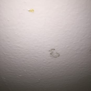 JMSred - Mold - Property Management Near Me - Signal Hill, California