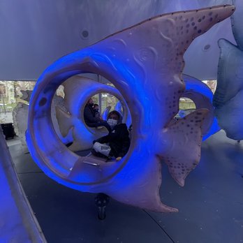SeaGlass Carousel - Beautiful fish carousel - Carousels Near Me - New York, New York