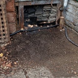 Moose Pro Services - After demo of old structure.