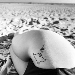 Manta Ray