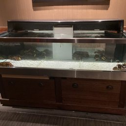 Red Lobster.  Lobster tank in lobby.
