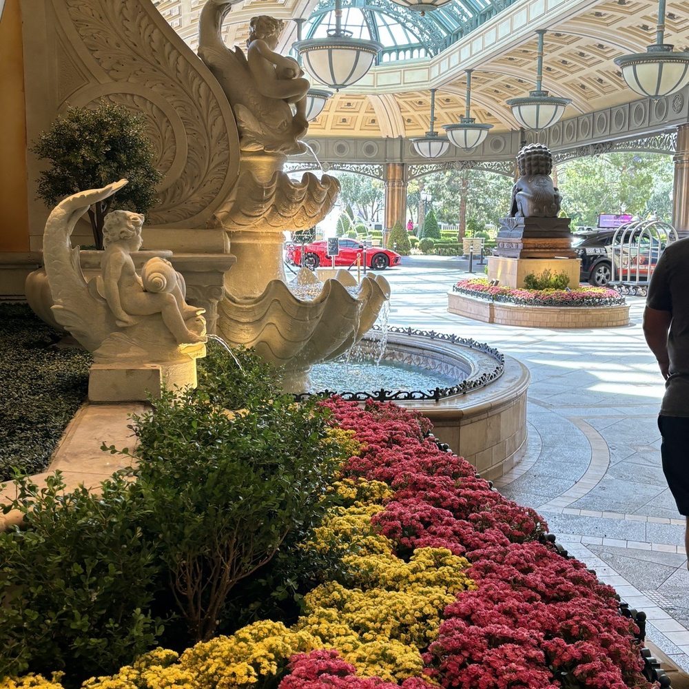 Bellagio - entrance - Hotels Near Me - Las Vegas, Nevada