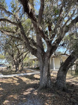 Kissimmee Prairie Preserve State Park by null