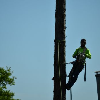 Bruce's Tree Service - Tree Services Near Me