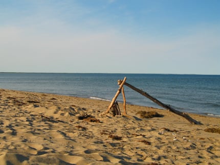 Kouchibouguac National Park by null