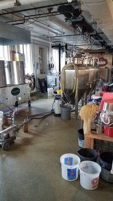 Gentile Brewing Company by null