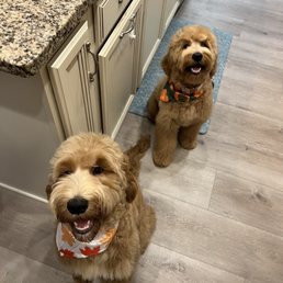 Louie & Lexi