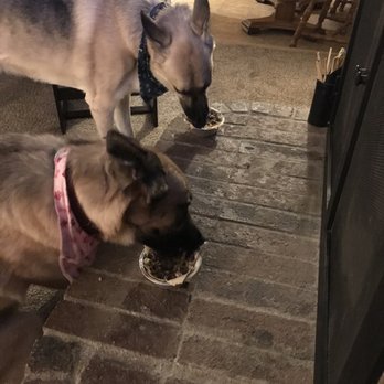 Three Dog Bakery - Pet Stores Near Me - Fort Worth, Texas
